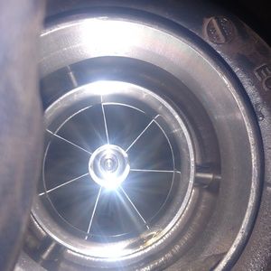 Meet your Posher, Cole